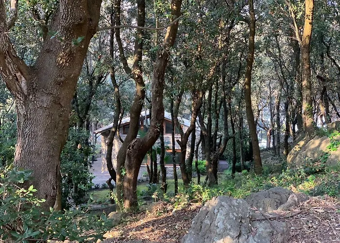 Ξενοδοχείο Mezzatorre & Thermal Forio di Ischia
