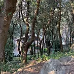 Hotel Mezzatorre & Thermal Forio (Isola d'Ischia)